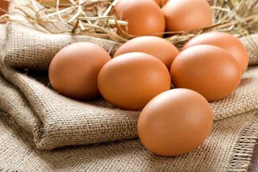 تولید 50هزار تن تخم مرغ در قزوین-تک نام پندار آریا