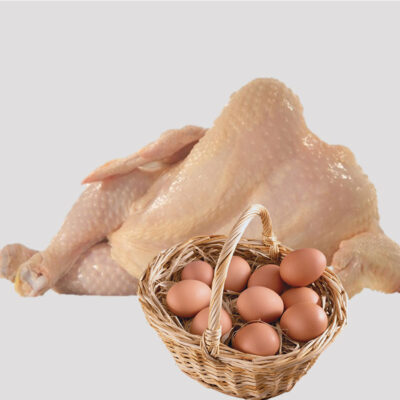 افزایش قیمت مرغ و کمبود تخم مرغ در بازار- تک نام پندار آریا